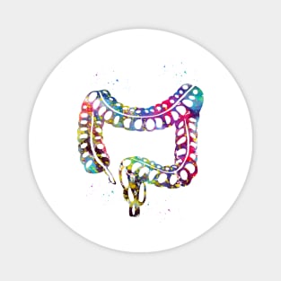 Lower gastrointestinal tract Magnet